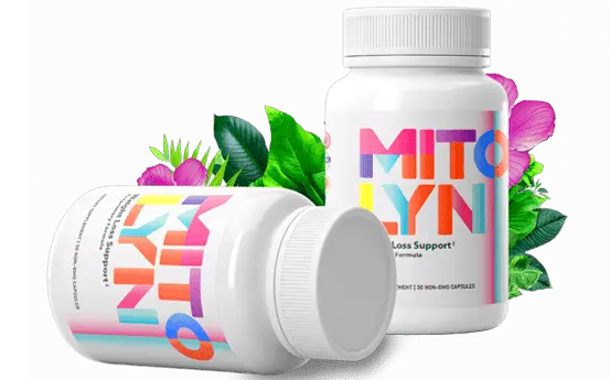 Mitolyn fat burner buy result